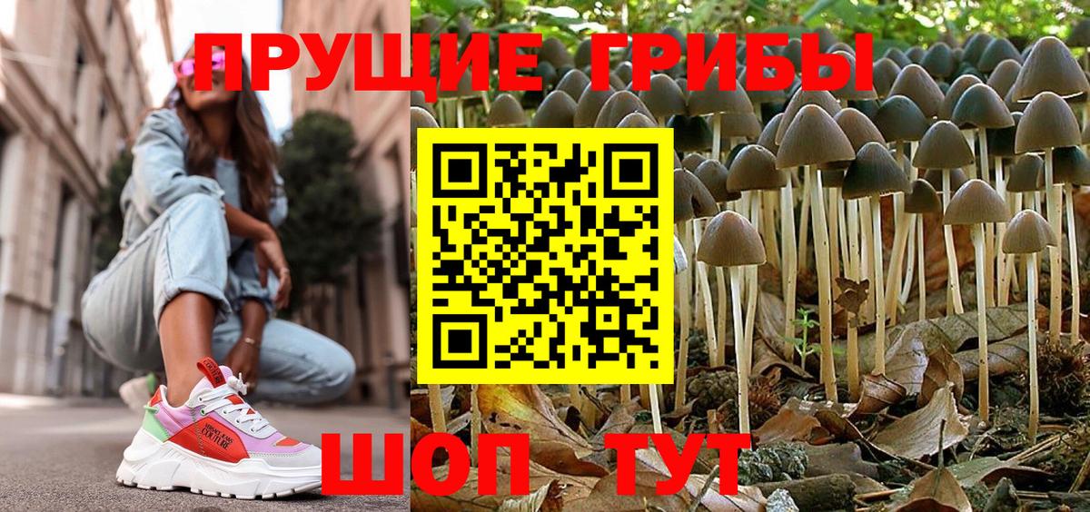 Псилоцибиновые грибы Magic Shrooms Россошь